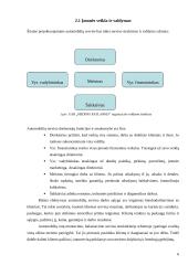 Ratų montavimas ir balansavimas 5 puslapis