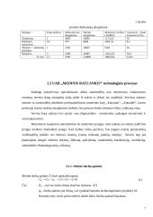 Ratų montavimas ir balansavimas 6 puslapis