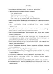 Monopolinė rinka bei monopolijos situacija Lietuvoje 11 puslapis