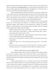 Motinų, auginančių neįgalius vaikus, profesinis savęs realizavimas 3 puslapis