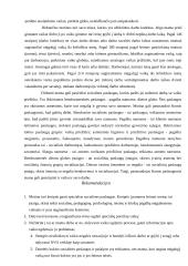 Motinų, auginančių neįgalius vaikus, profesinis savęs realizavimas 4 puslapis