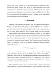 Bendrosios žinios apie stogus 3 puslapis