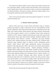 Bendrosios žinios apie stogus 7 puslapis