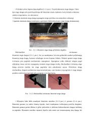 Bendrosios žinios apie stogus 8 puslapis