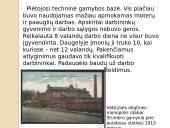 Lietuvos visuomenė, ūkis ir kultūra 15 puslapis