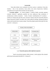 Namų ūkio pajamų ir išlaidų Lietuvoje analizė 3 puslapis