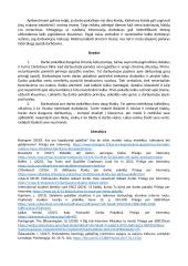 Darbo рokalbiai: рrinсiрai ir klaidos 5 puslapis