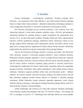 Finansų technologijų plėtra Europos sąjungoje 16 puslapis