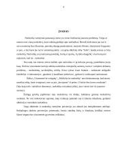 Narkotikai moksleivių tarpe 4 puslapis