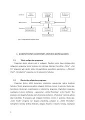 Kompiuterinių maketavimo ir leidybos programų apžvalga 4 puslapis