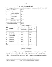 UAB „Oko“ įmonės verslo planas 12 puslapis