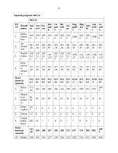 UAB „Oko“ įmonės verslo planas 16 puslapis