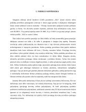 UAB „Oko“ įmonės verslo planas 2 puslapis