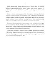 UAB „Oko“ įmonės verslo planas 3 puslapis