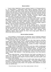 Narvos ir Pamarių kultūros keramikos panašumai ir skirtumai 2 puslapis