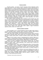 Narvos ir Pamarių kultūros keramikos panašumai ir skirtumai 4 puslapis