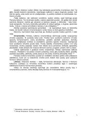 Narvos ir Pamarių kultūros keramikos panašumai ir skirtumai 5 puslapis