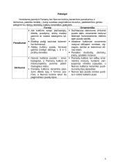 Narvos ir Pamarių kultūros keramikos panašumai ir skirtumai 6 puslapis