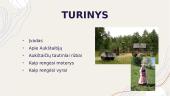 Aukštaičių tautiniai drabužiai (skaidrės) 2 puslapis