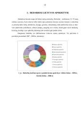 Nedarbas Lietuvoje - savarankiškas darbas 13 puslapis