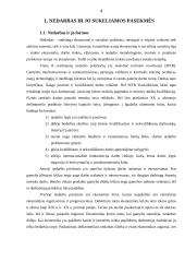 Nedarbas Lietuvoje - savarankiškas darbas 4 puslapis