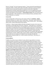 Dvipolės tarptautinės sistemos susiformavimas 2 puslapis