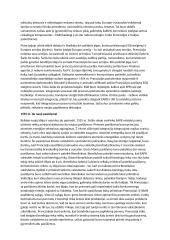 Dvipolės tarptautinės sistemos susiformavimas 6 puslapis