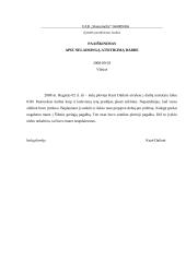 Nelaimingo atsitikimo darbe tyrimas 12 puslapis