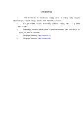 Nelaimingo atsitikimo darbe tyrimas 20 puslapis