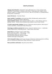 Nelaimingo atsitikimo darbe tyrimas 4 puslapis