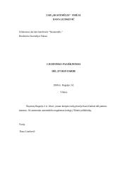 Nelaimingo atsitikimo darbe tyrimas 10 puslapis