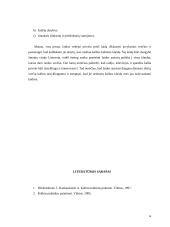 Nevartotinos svetimybės ir kalbos klaidos 16 puslapis