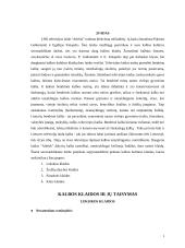 Nevartotinos svetimybės ir kalbos klaidos 3 puslapis