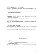 Nevartotinos svetimybės ir kalbos klaidos 7 puslapis