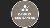 Kamilis Sen Sansas. Žvėrių karnavalas 2 puslapis