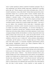 Kančios prasmė lietuvių literatūroje 2 puslapis