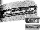 Pramonės perversmas. Skaidrės 13 puslapis