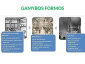 Pramonės perversmas. Skaidrės 2 puslapis