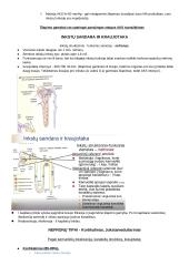 Ekskrecija 3 puslapis