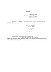 Optimalaus gamybos plano sudarymas ir jo analizė 5 puslapis