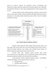 Organizacijos aplinka 11 puslapis