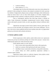 Organizacijos aplinka 12 puslapis