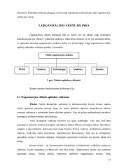 Organizacijos aplinka 14 puslapis