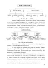 Organizacijos aplinka 17 puslapis