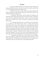 Organizacijos aplinka 20 puslapis