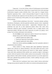 Organizacijos aplinka 3 puslapis