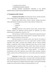 Organizacijos aplinka 6 puslapis