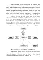 Organizacijos aplinka 7 puslapis