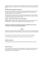 Romėnų teisė. Asmenys 3 puslapis