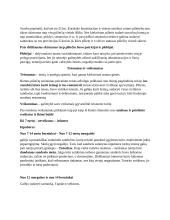 Romėnų teisė. Asmenys 4 puslapis